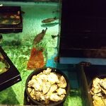 正弁丹吾 - 生け簀