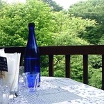 カフェピアニッシモ - 180度緑のカーテン＝癒し