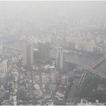 SKYTREE CAFE - 