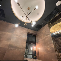 PONGA PREMIUM - 
