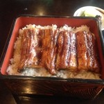 鰻 小林 - うな重のみ撮影