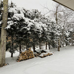 フォリオリーナ・デッラ・ポルタ・フォルトゥーナ - 裏庭です