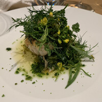 マンサルヴァ - 【温前菜】…「白子・菜の花・バター」