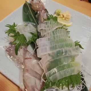 泳ぎイカ 九州 うまか_0