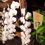 串酒場チチカブ - オープンのお祝いのお花達も綺麗♪(’13.06月)