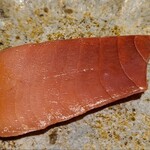 馳走 啐啄一十  - ⑬本鮪赤身ヅケ(京都府舞鶴産、30kg、やま幸)
      赤身から中トロに近い部位をグラデーションを感じる切り分けにヅケを施して提供
      鼻に抜ける香りと口溶けを楽しみました
      仕入先の社長様に合わせたお鮨仕様