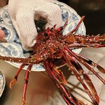 神楽坂 鉄板焼 中むら - 