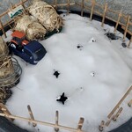 美瑛放牧酪農場 - 雪に埋もれてるけど可愛い模型