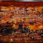 うな藤 - 鰻重