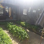 Sanukichijin Shokudou Shunsai Usagi An - お野菜のお庭