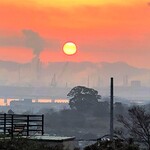 讃岐うどん がもう - 