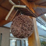 肉そば処 伍らい光 - 