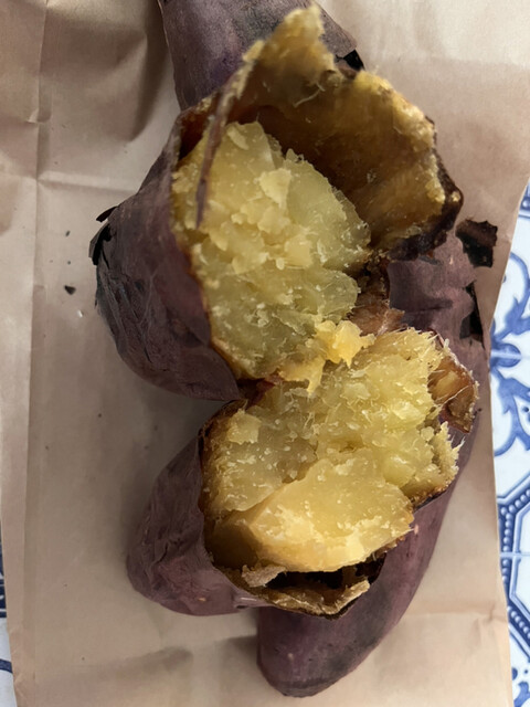 畑楽 - 坂元（その他）の写真