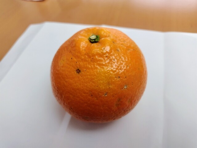 八百吉 - 釧路（その他）の写真