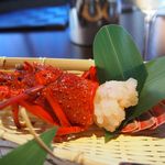 界 遠州 - 伊勢エビ