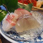 界 遠州 - カンパチ　鯛　鱸(馬高)　