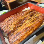 Unagi Saitaniya - 