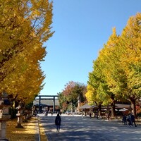 旬菜ステーキ処 らいむらいと - 