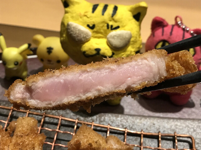 Kono Machi no Senmon Ten Tonkatsu Katsudon Fukai Ten photo 5