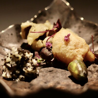 TOSAGE - 