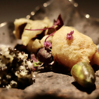 TOSAGE - 