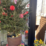 オーガニック レストラン 広場 東京店 - 