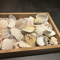 Maison de Fujii - 