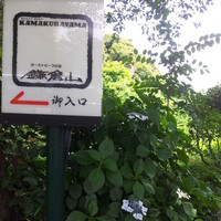 鎌倉山 本店 - 