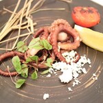 クッチーナ イタリアーナ ガッルーラ - 