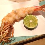 くろぎ - ぷりっぷりの車海老！