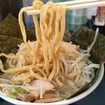 徳島ラーメン ふじい - 麺の太さ