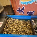 牡蛎処 桝政 - 