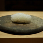 ひとつ - アオリイカ