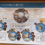 マドライキッチン - 「ミールスの楽しい食べ方」