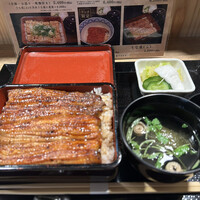 うなぎ 目白ぞろ芽 - 