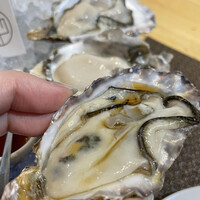 四ツ橋・新町 牡蠣と肉たらしビストロAKIRA - 