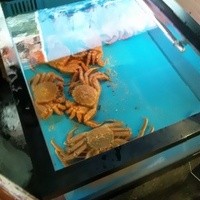 網元 別館 - １階ロビーの活け水