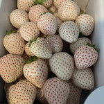 内山いちご園 - 