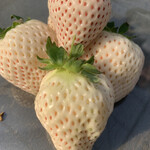 内山いちご園 - 