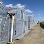 内山いちご園 - 