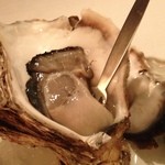 リストランテ・マッサ - アップです