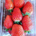 ちはる農園 - かおり野