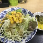 Ootora Shokudou - 付属のミニサラダ