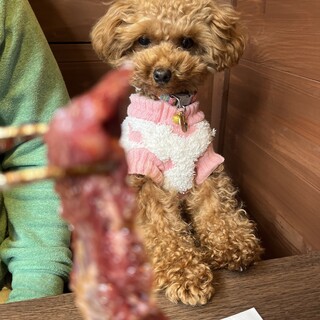 テラスと完全個室で愛犬と焼肉できます!!ご予約可能です!!