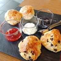 オールデイダイニング オアシスガーデン - スコーン