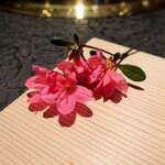 日本焼肉はせ川 別亭 - あしらいにつつじ