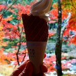堅香子 - ソフトクリーム税込380円