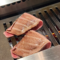 PONGA PREMIUM - 