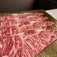 PONGA PREMIUM - 