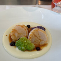 Benoit Alain Ducasse - 